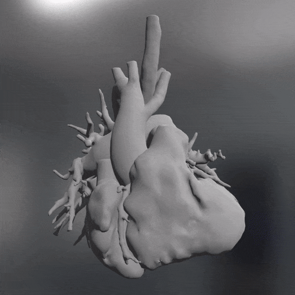 Mappa shader del cuore 3D